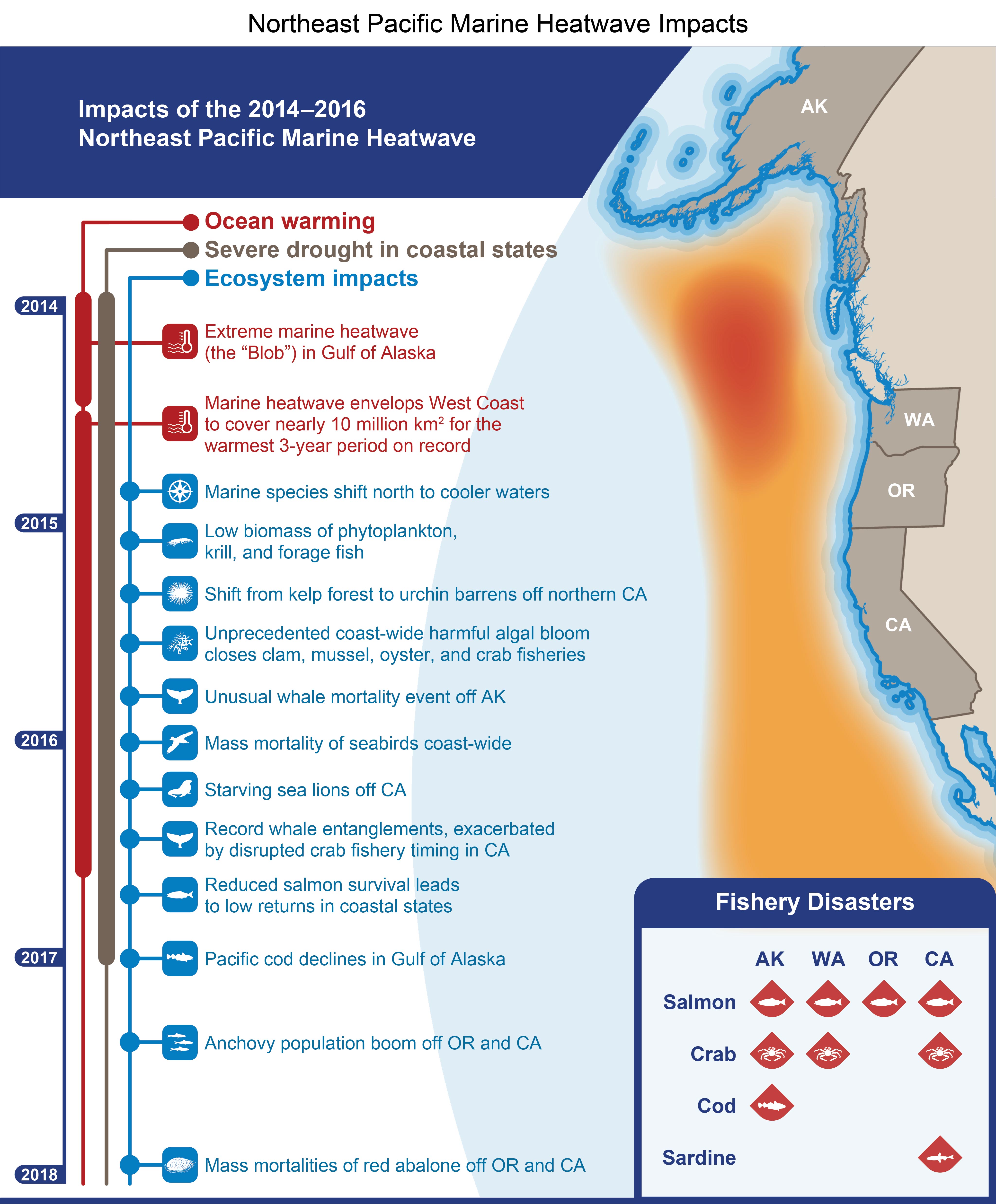 Northeast Pacific Marine Heatwave Impacts