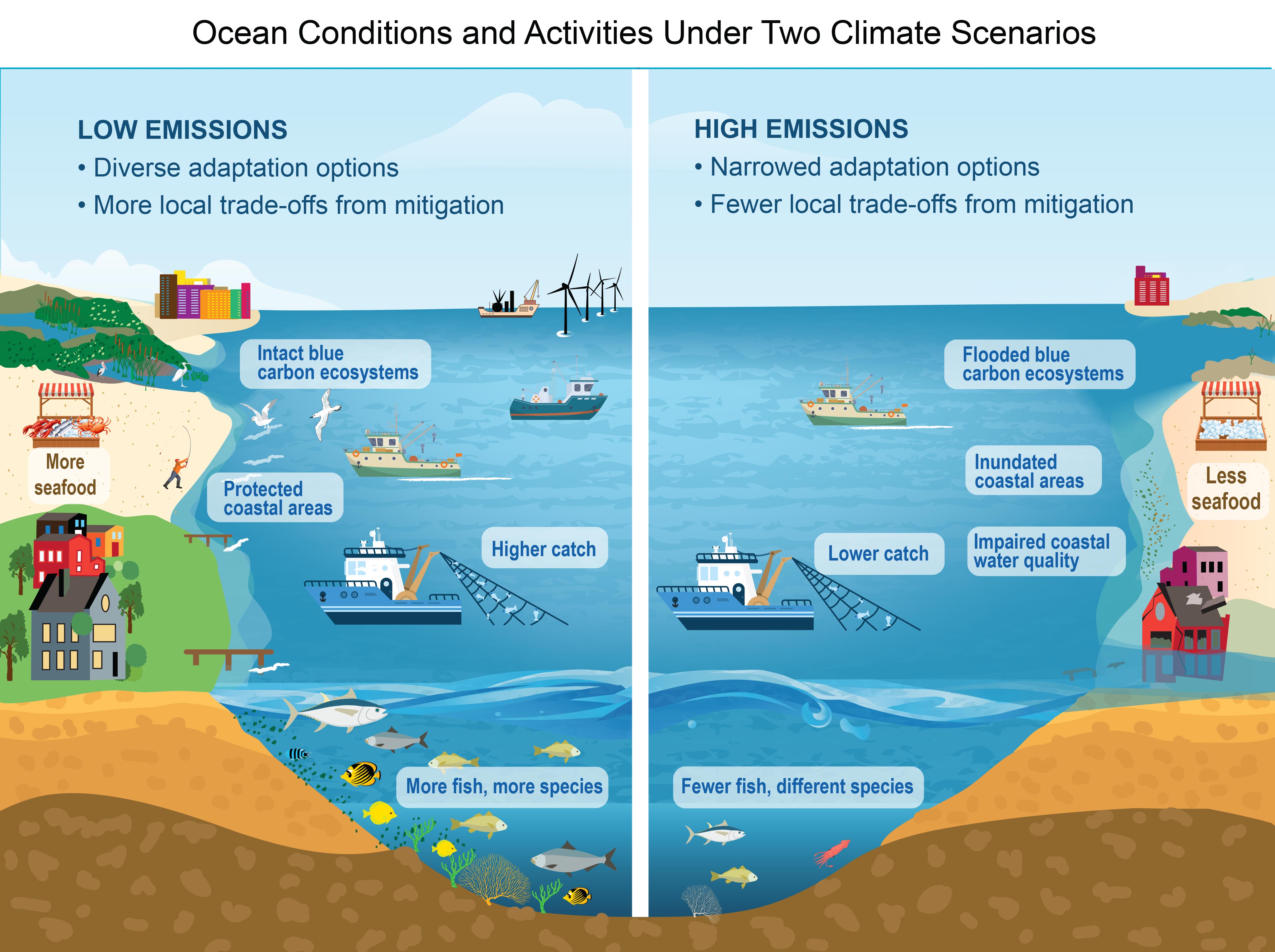 Ocean Conditions and Activities Under Two Climate Scenarios