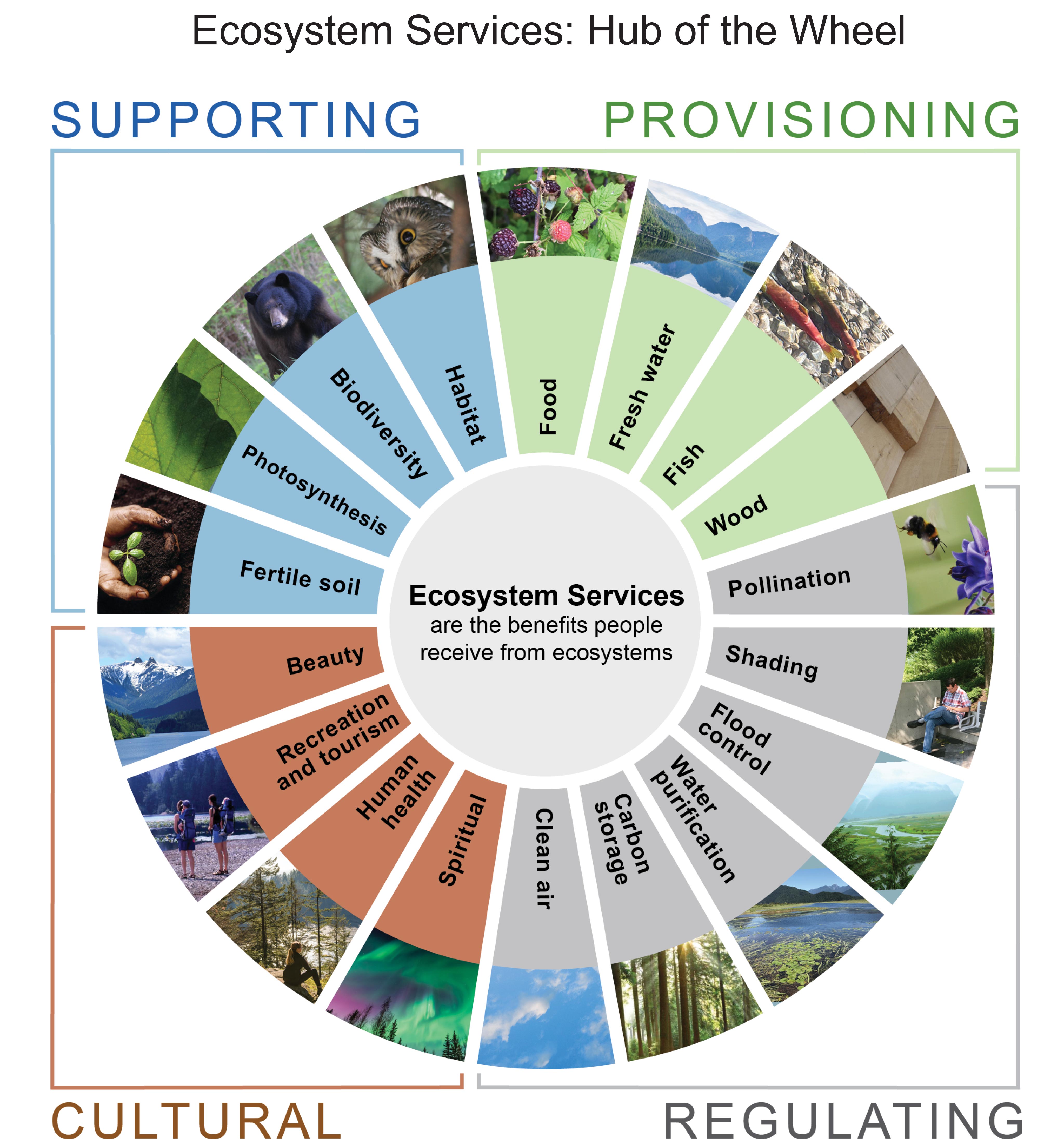 Ecosystem Services: Hub of the Wheel