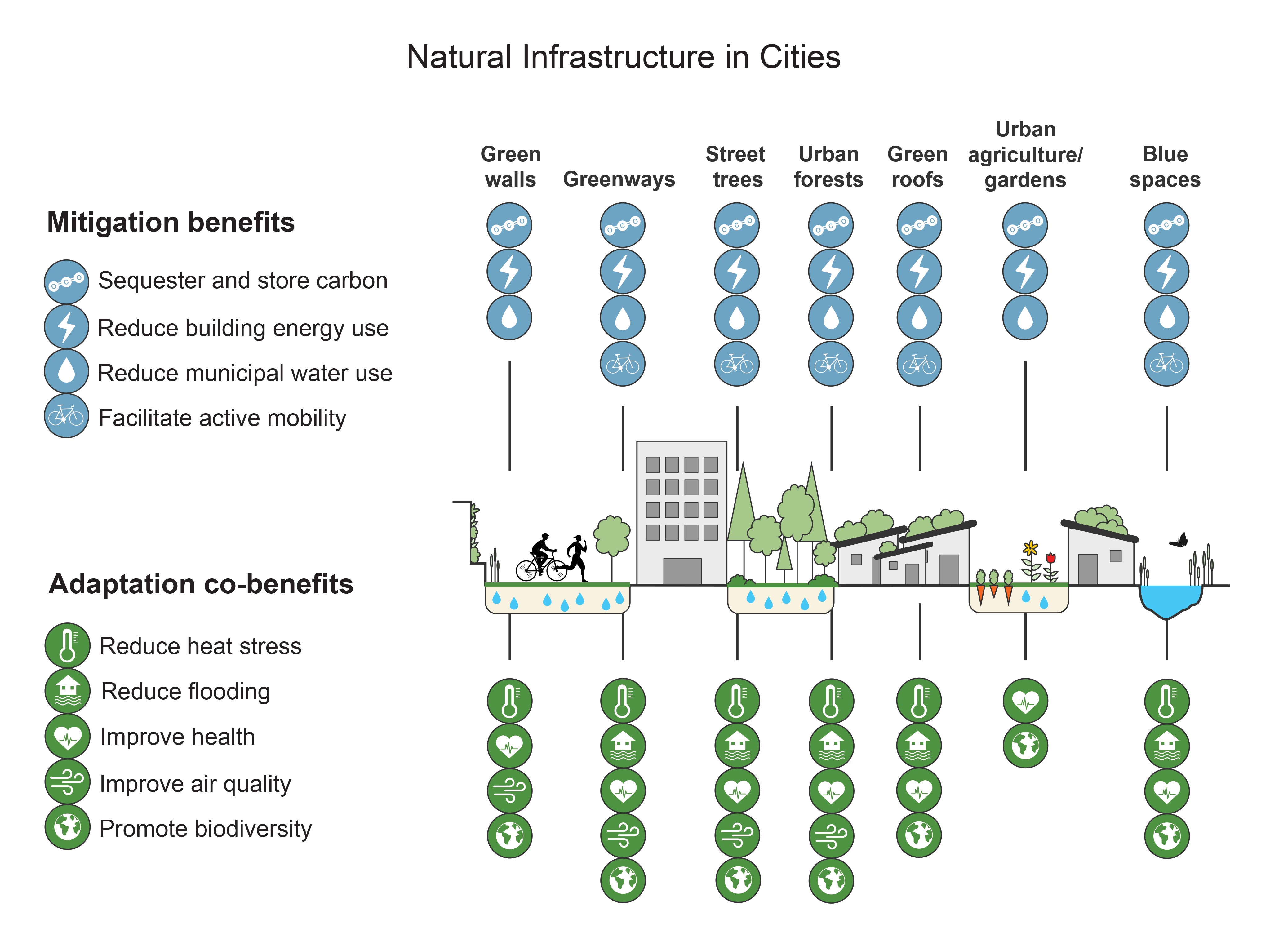 Natural Infrastructure in Cities
