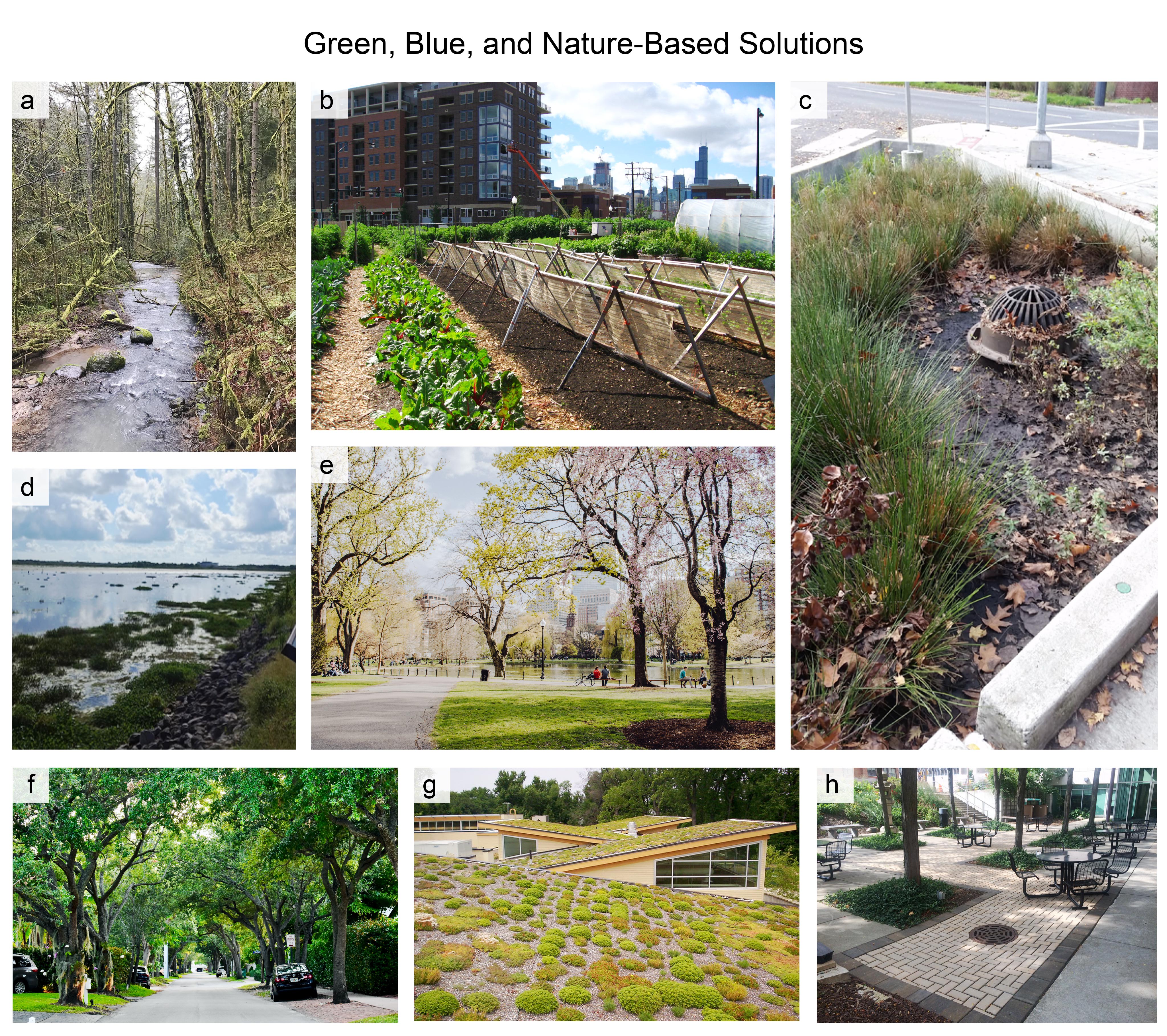 Green, Blue, and Nature-Based Solutions