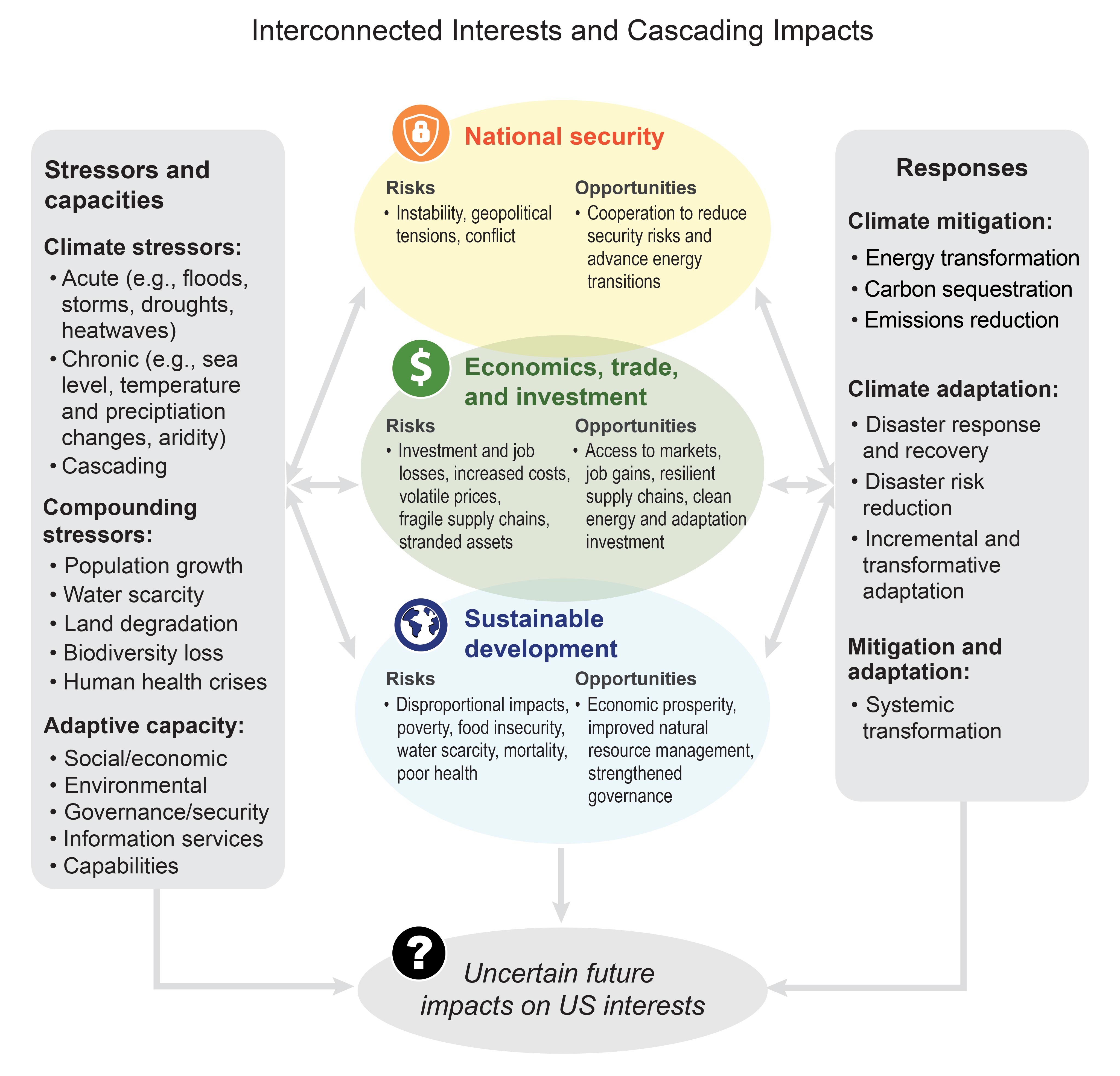 Interconnected Interests and Cascading Impacts
