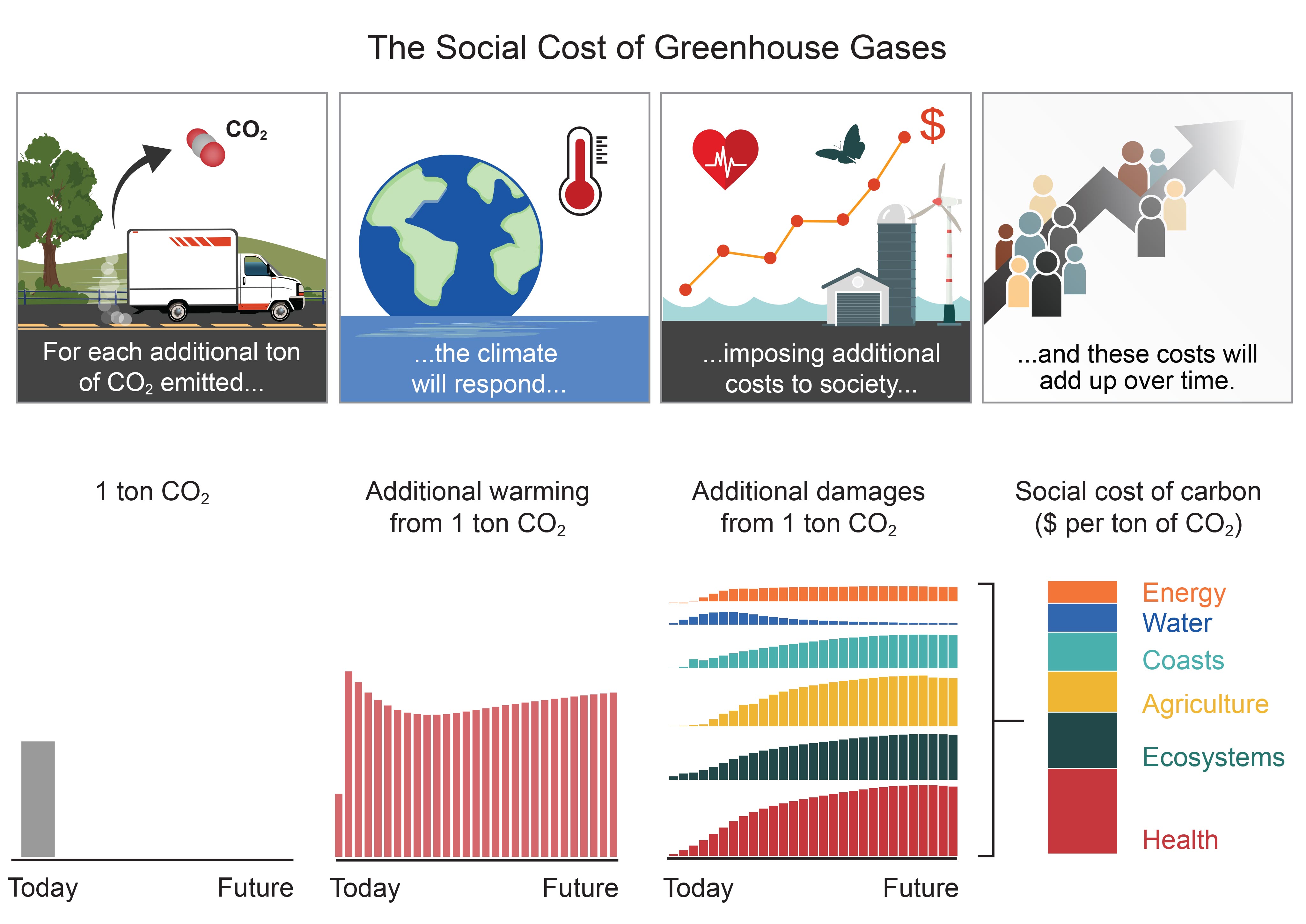 The Social Cost of Greenhouse Gases