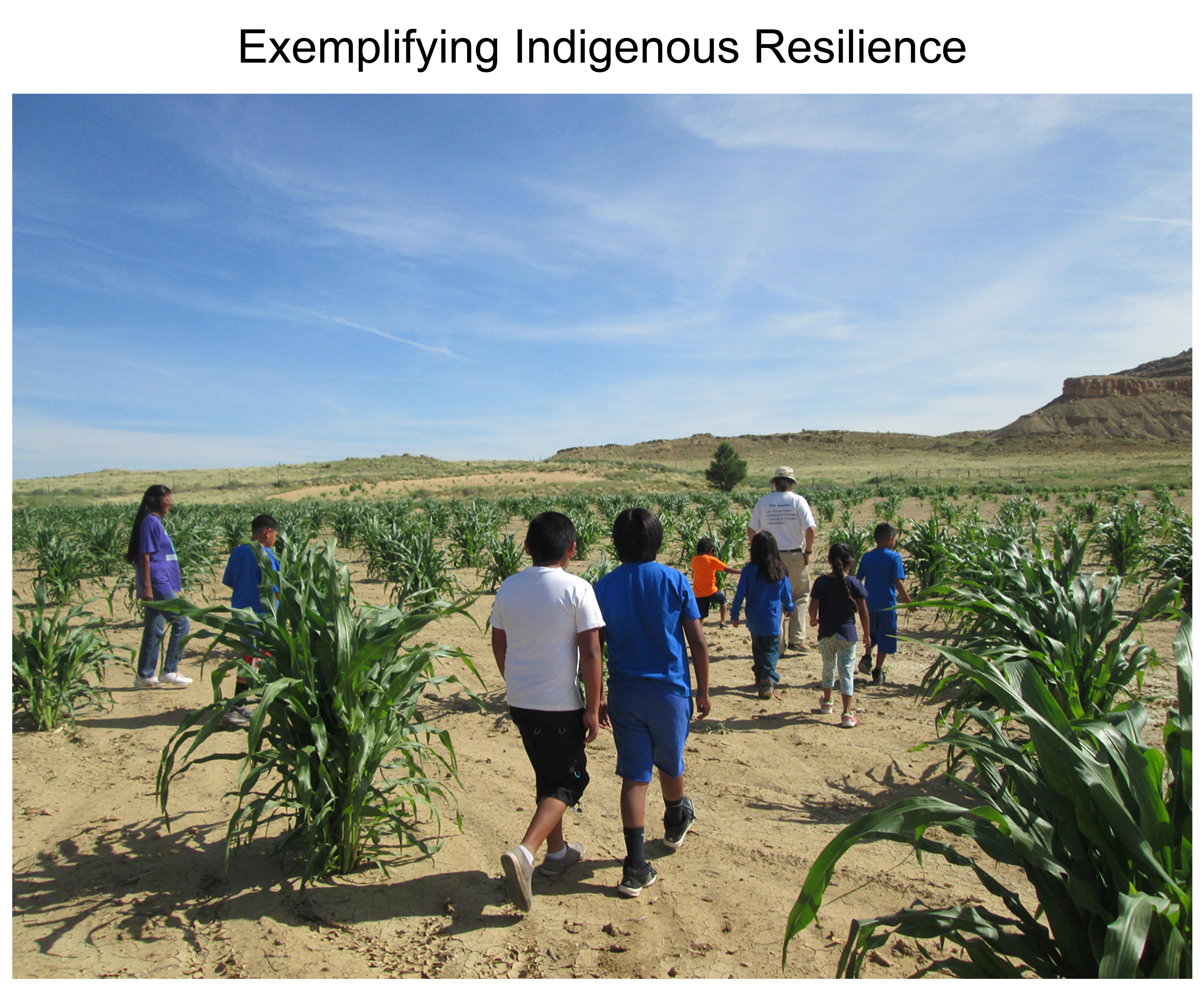 Exemplifying Indigenous Resilience