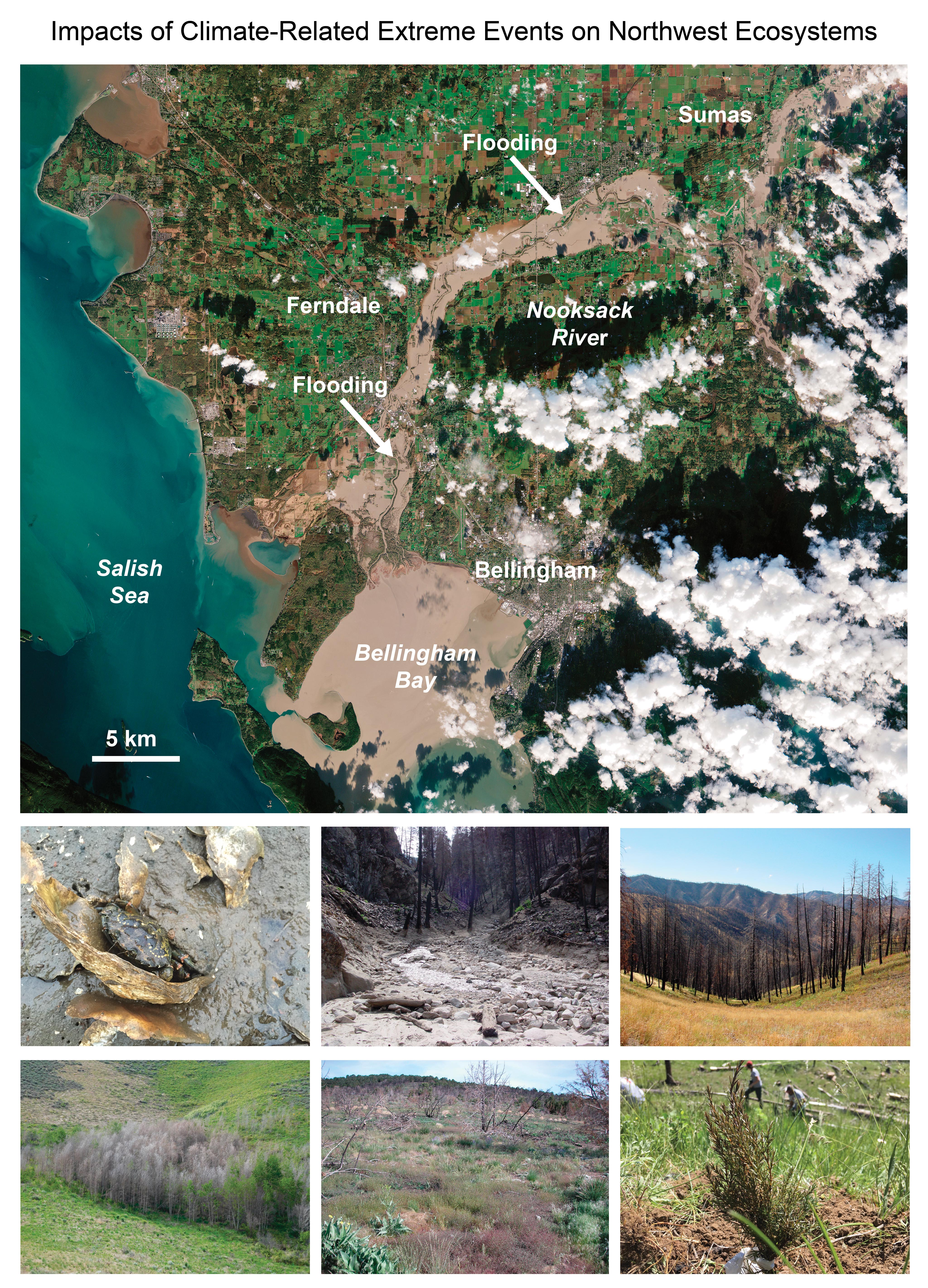 Climate-Related Impacts and Extreme Events to Northwest Ecosystems