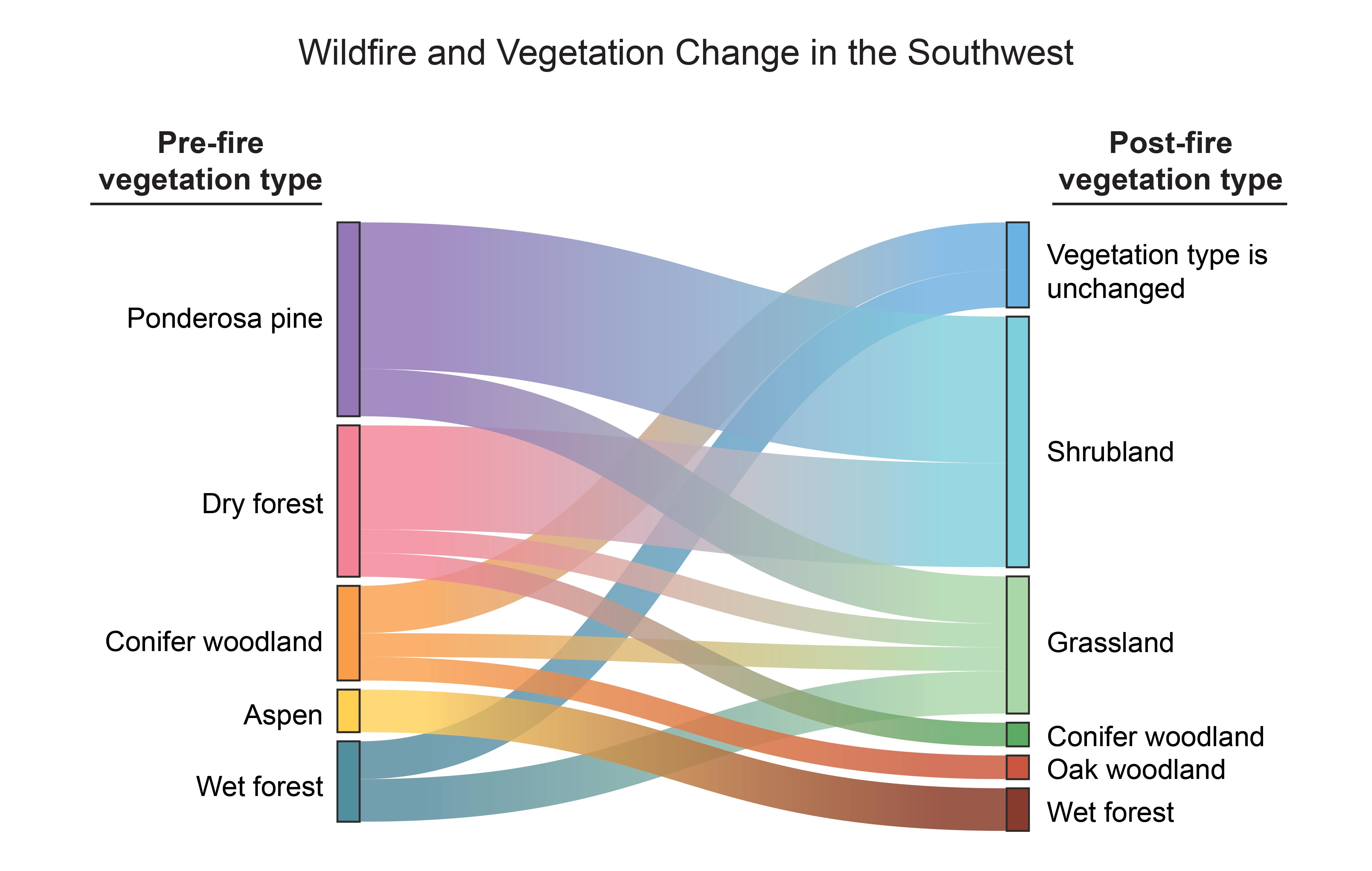 Wildfire and Vegetation Change in the Southwest