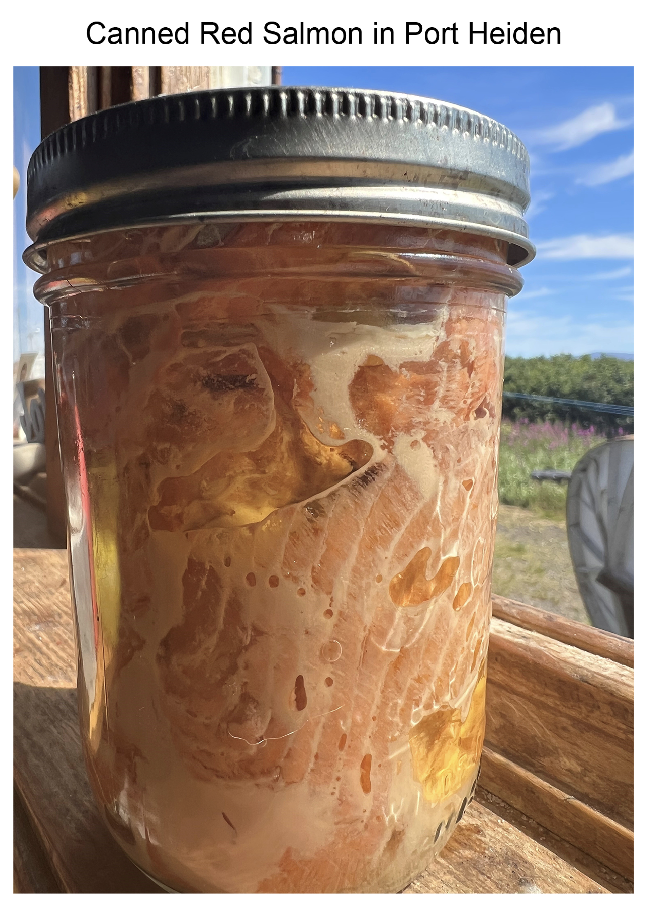 Canned Red Salmon in Port Heiden