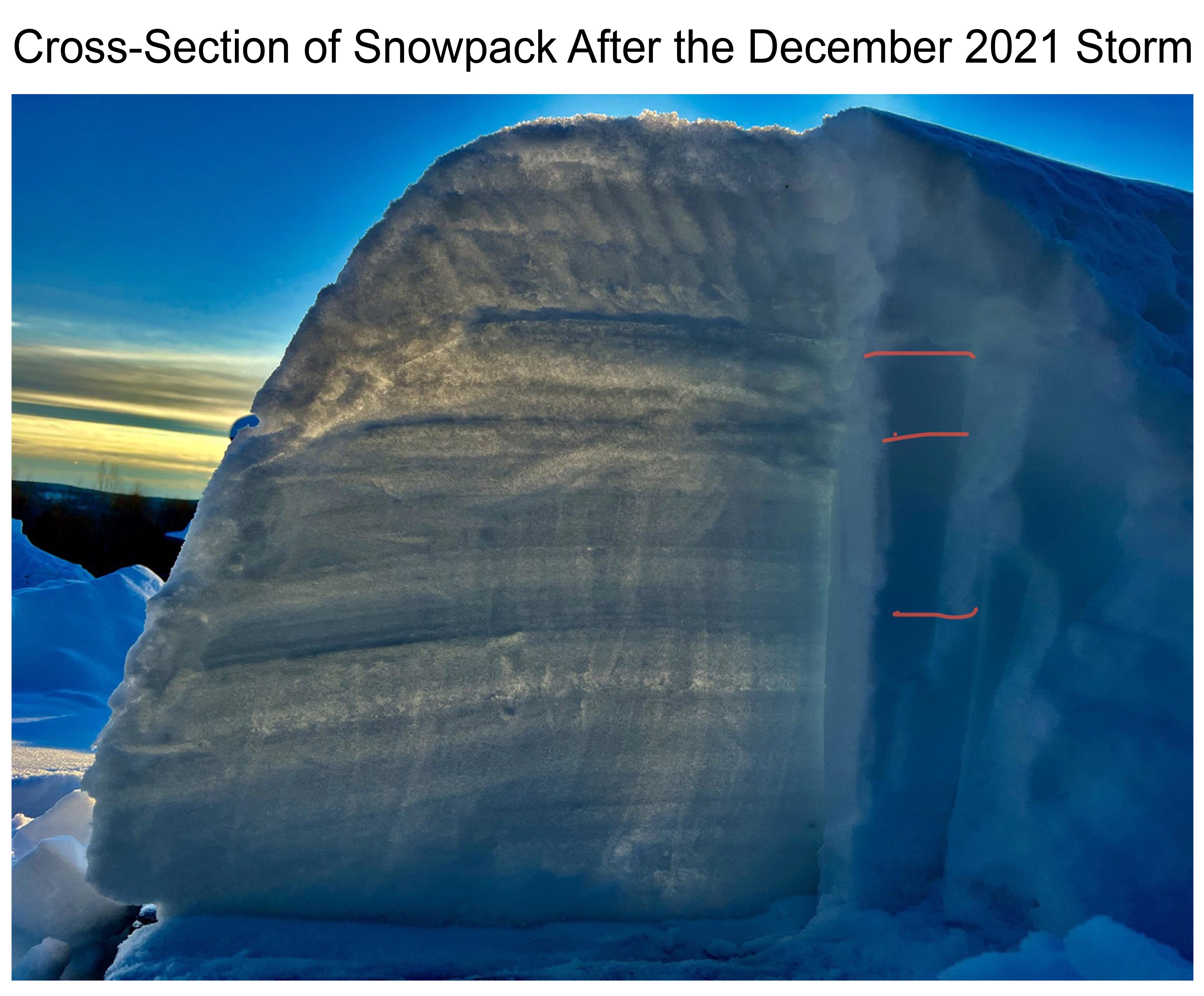 Cross-Section of Snowpack After the December 2021 Storm