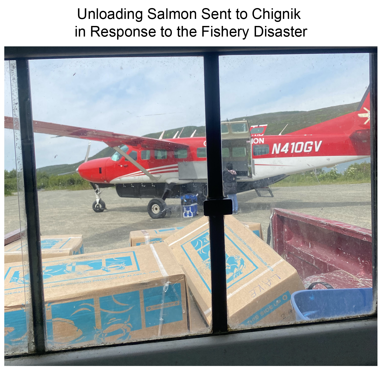 Unloading Salmon Sent to Chignik in Response to the Fishery Disaster