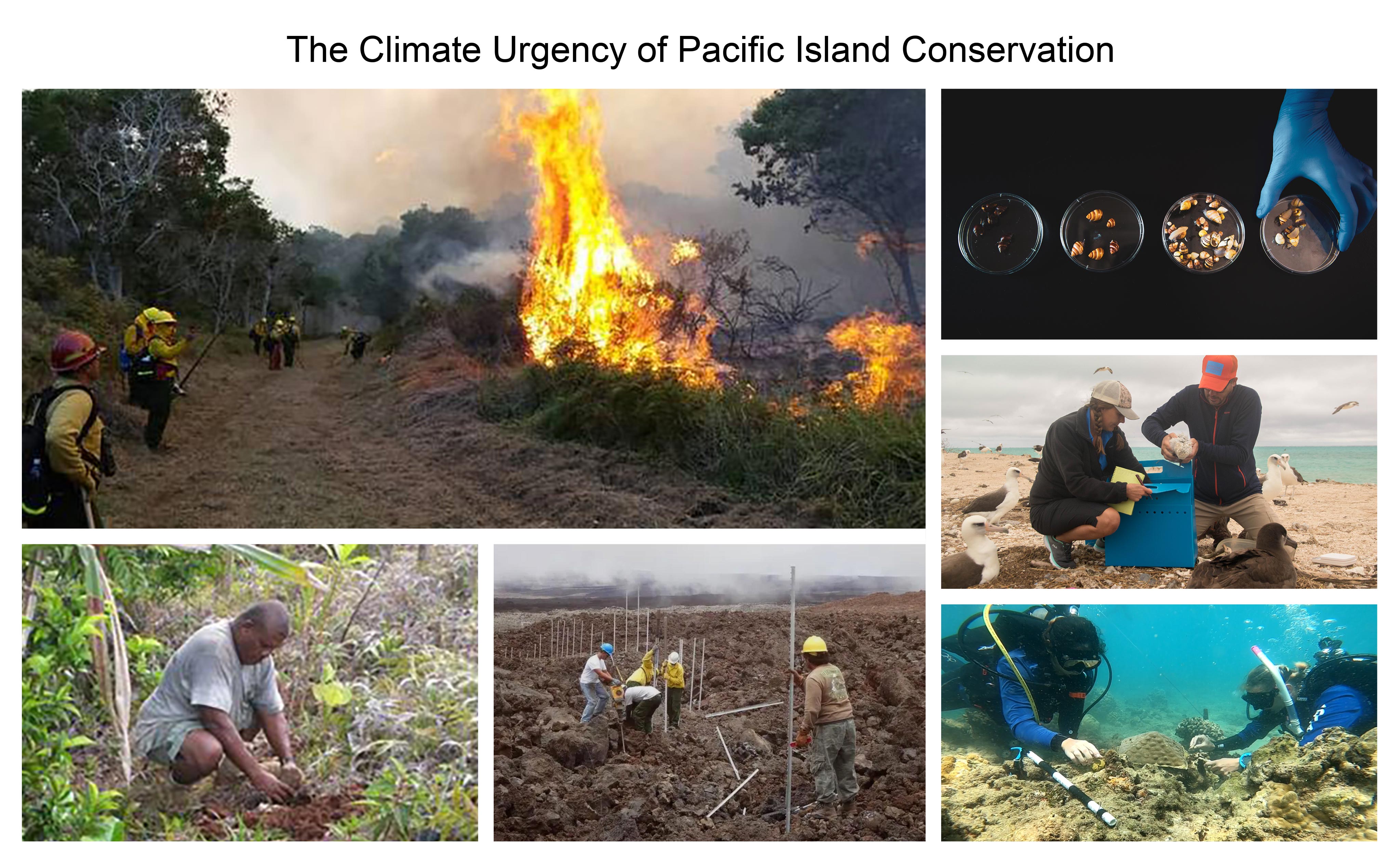 The Climate Urgency of Pacific Island Conservation 
