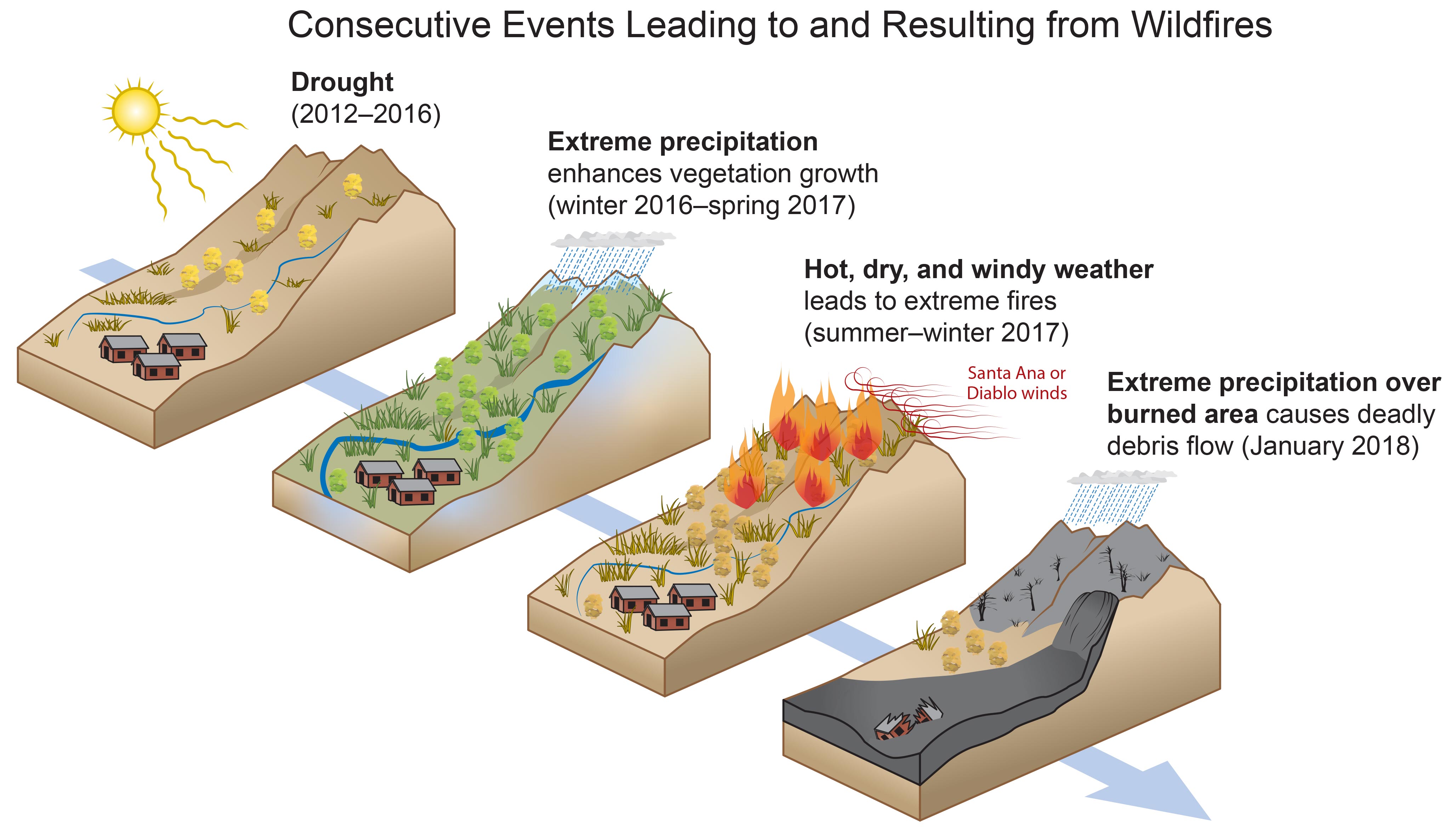 Consecutive Events Leading to and Resulting from Wildfires