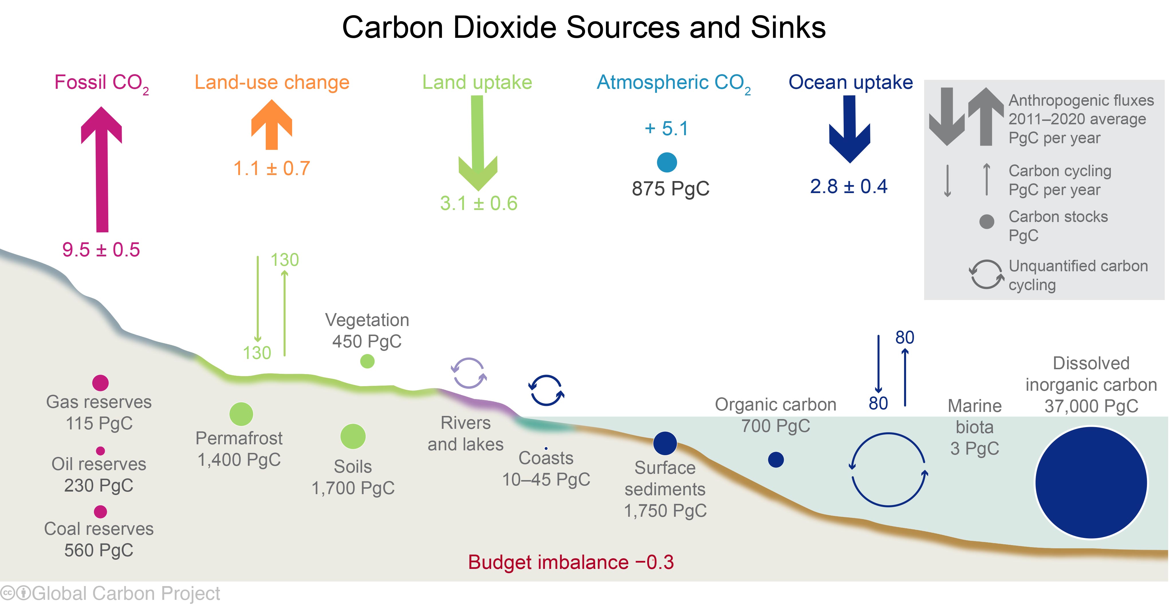 Carbon Dioxide Sources and Sinks