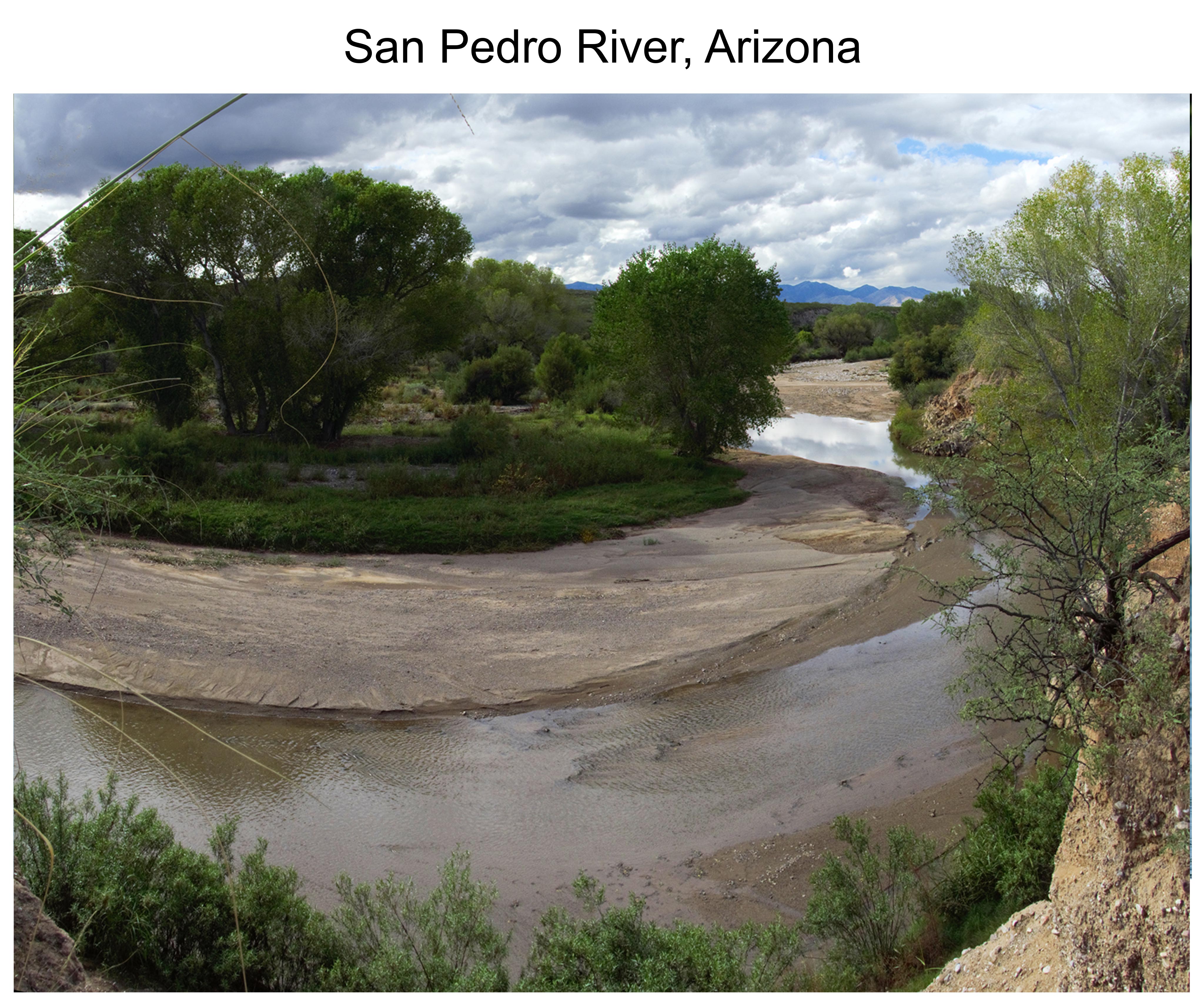 San Pedro River, Arizona