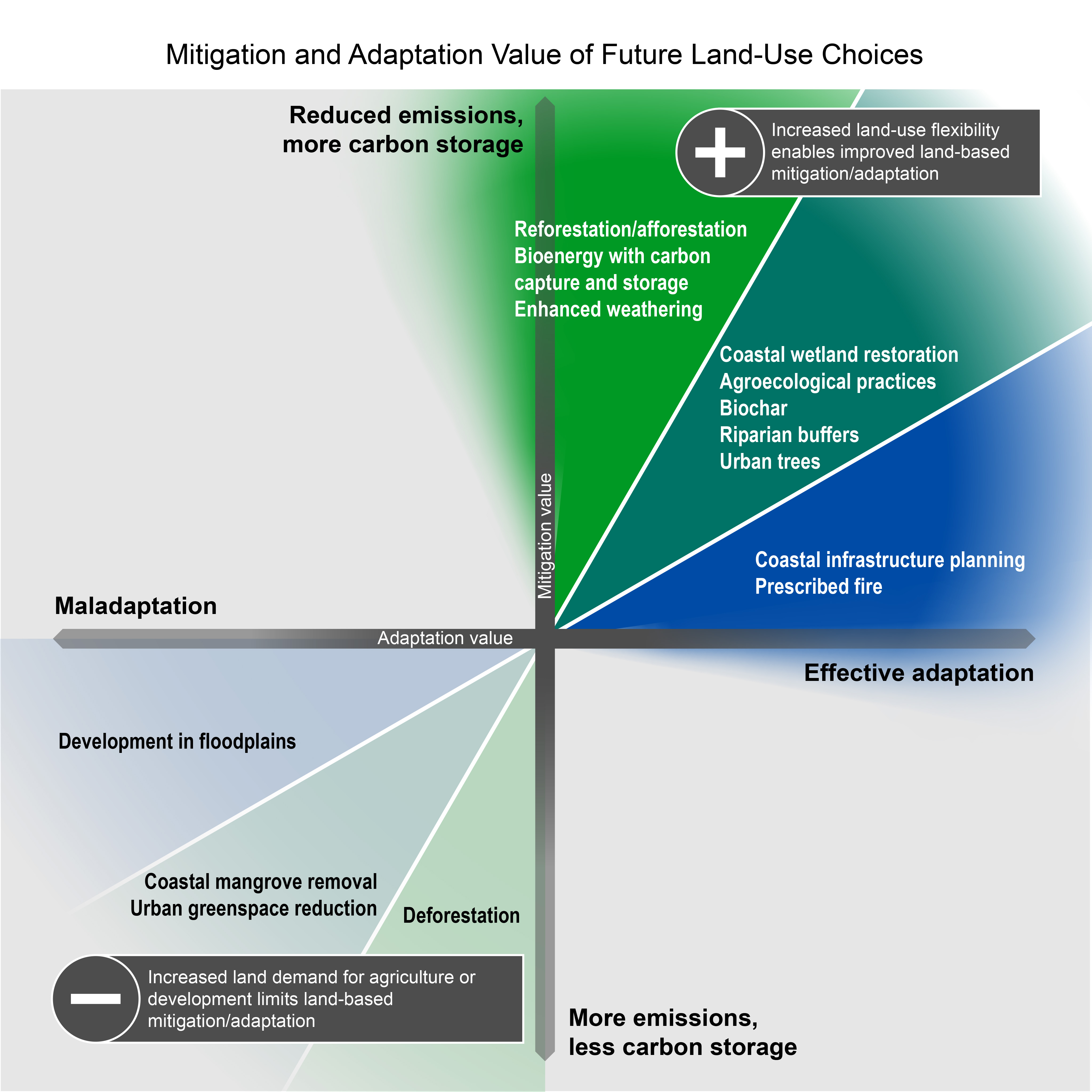 Mitigation and Adaptation Value of Future Land-Use Choices