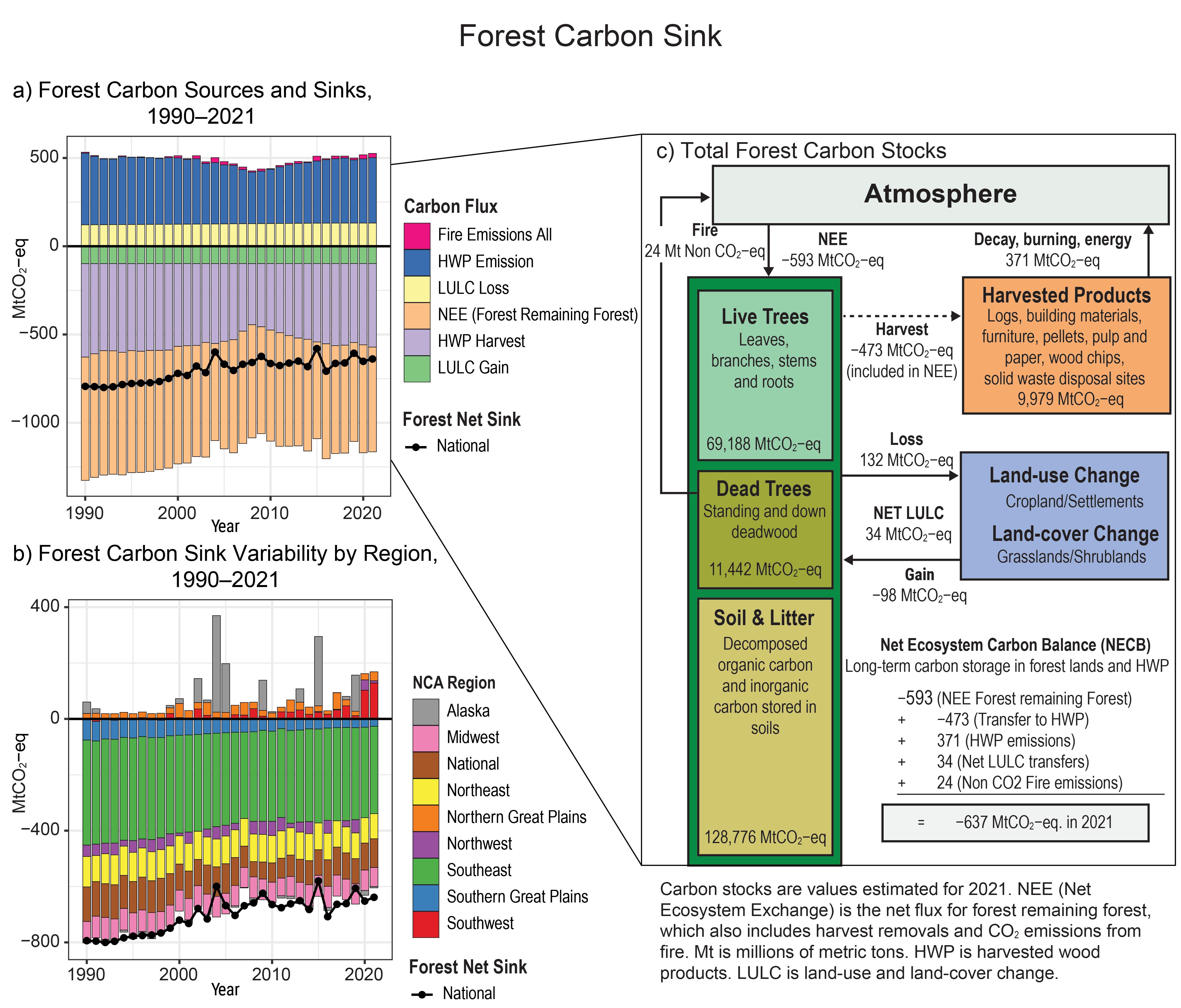 Forest Carbon Sink