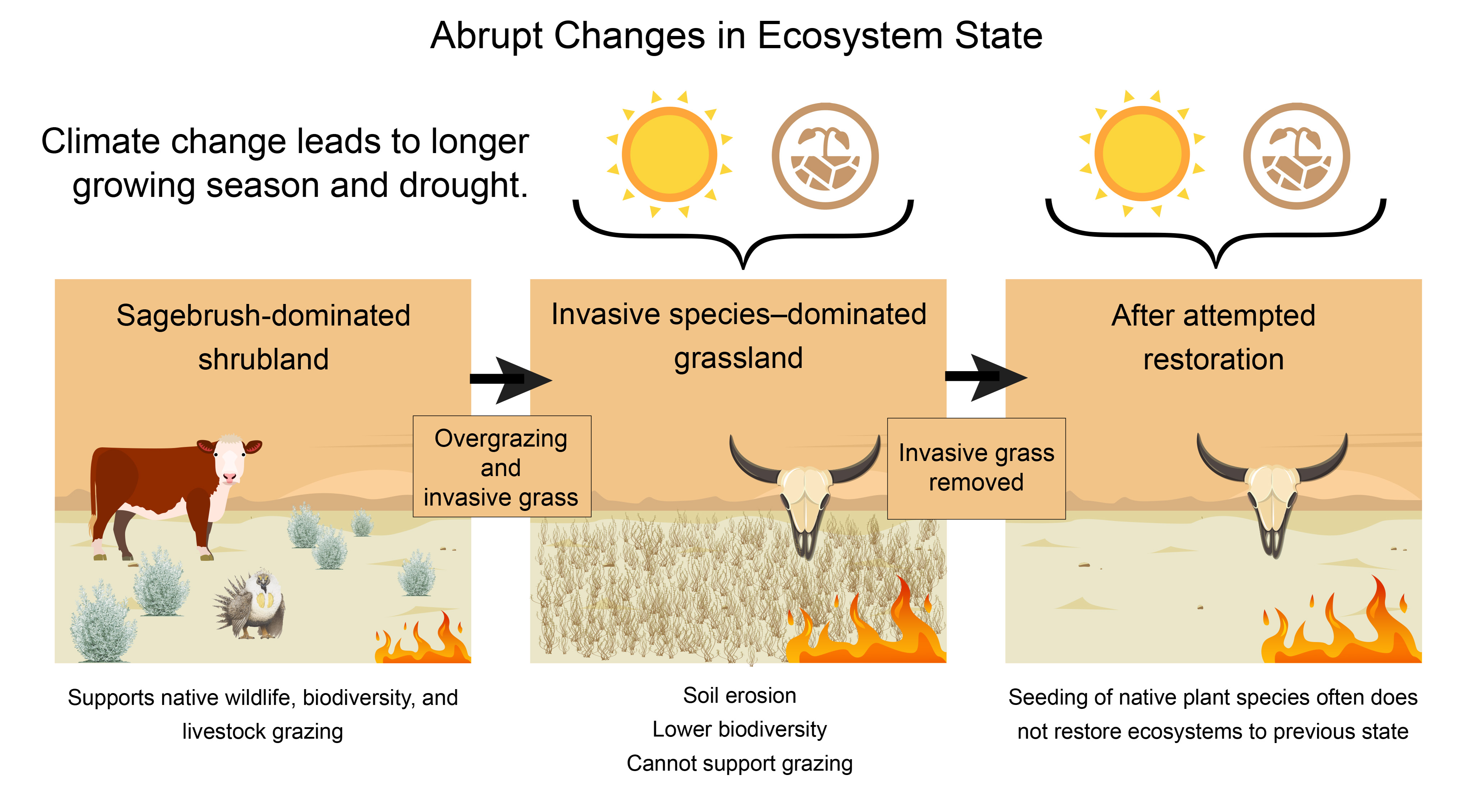 Abrupt Changes in Ecosystem State