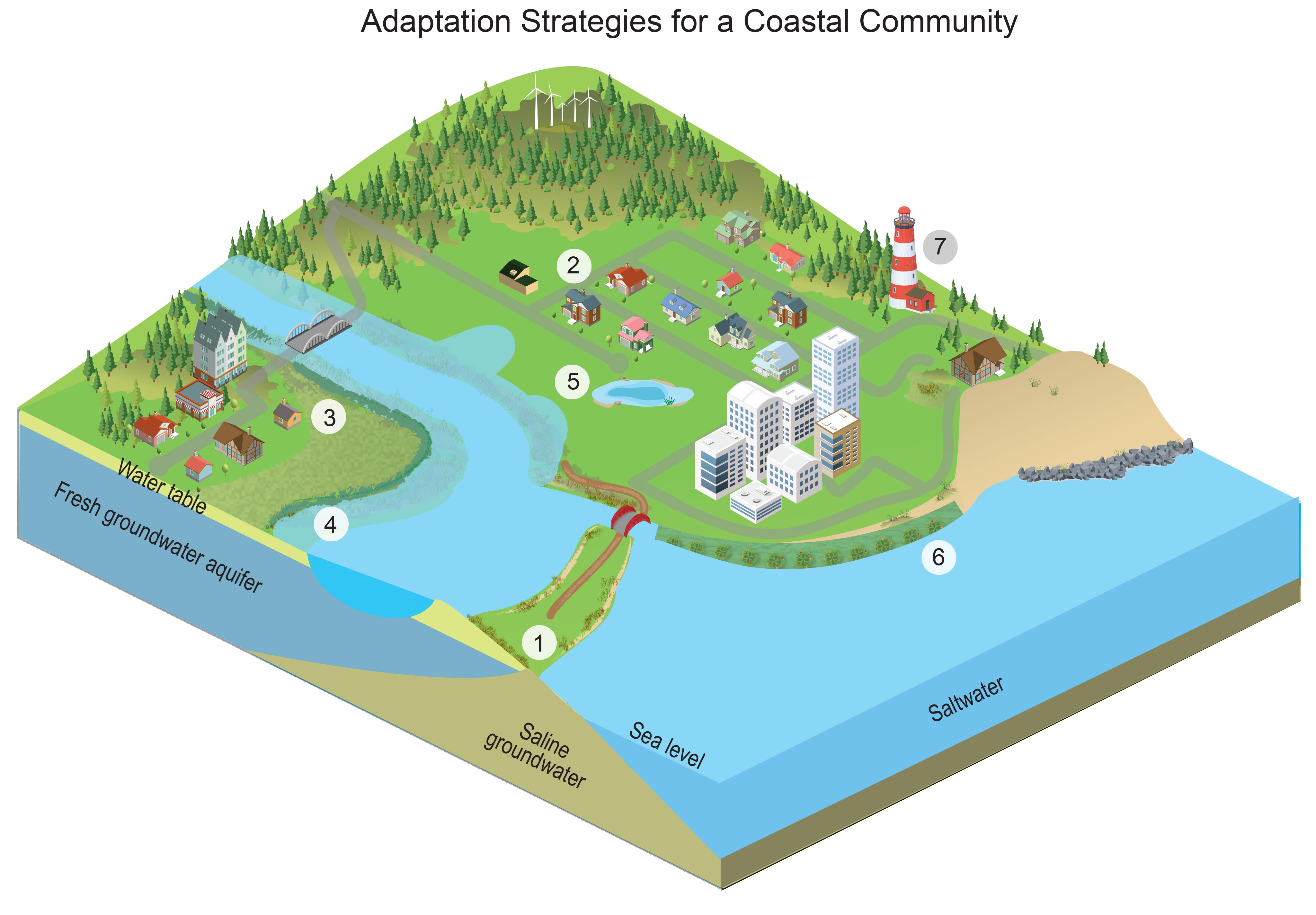 Adaptation Strategies for a Coastal Community