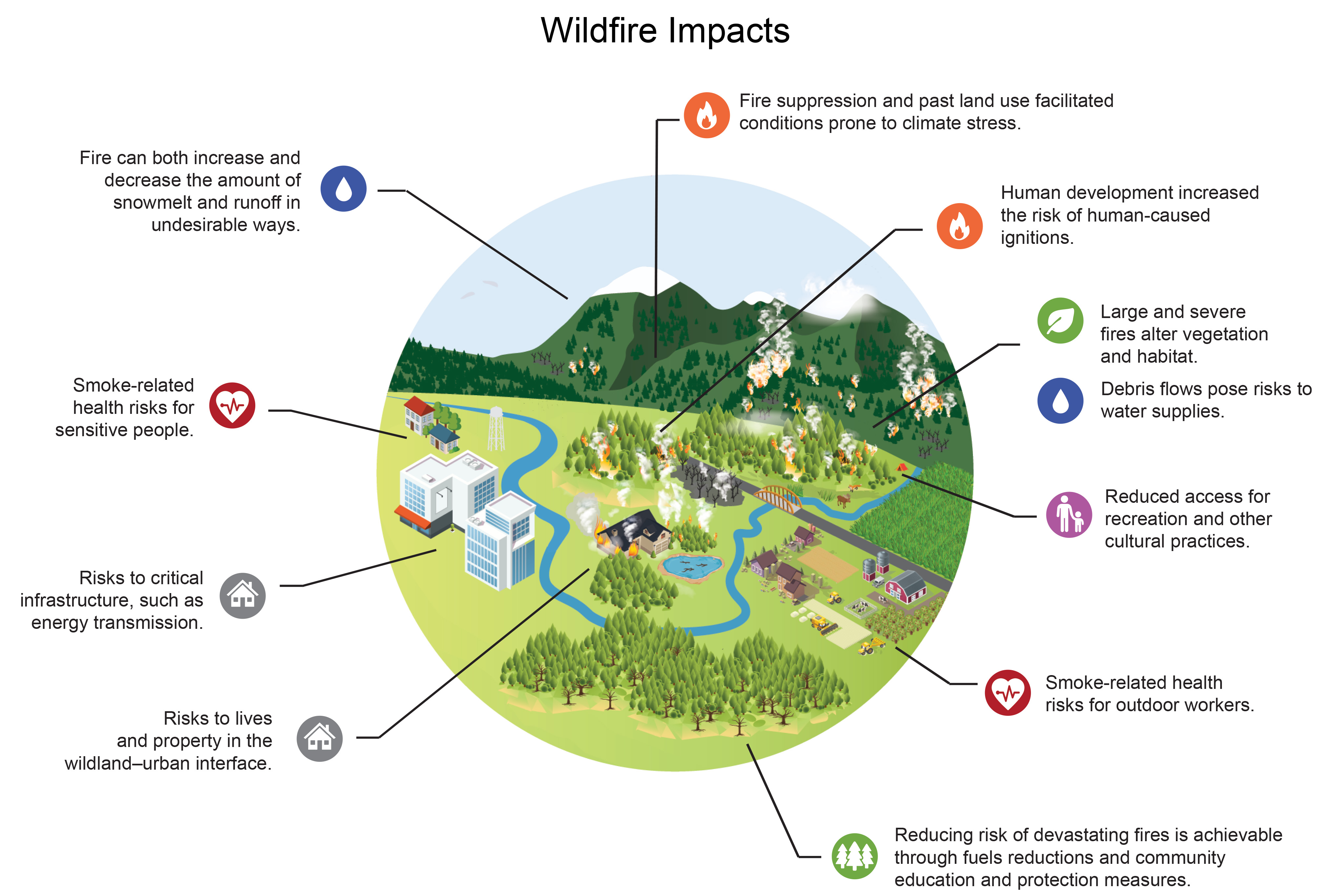 Wildfire Impacts