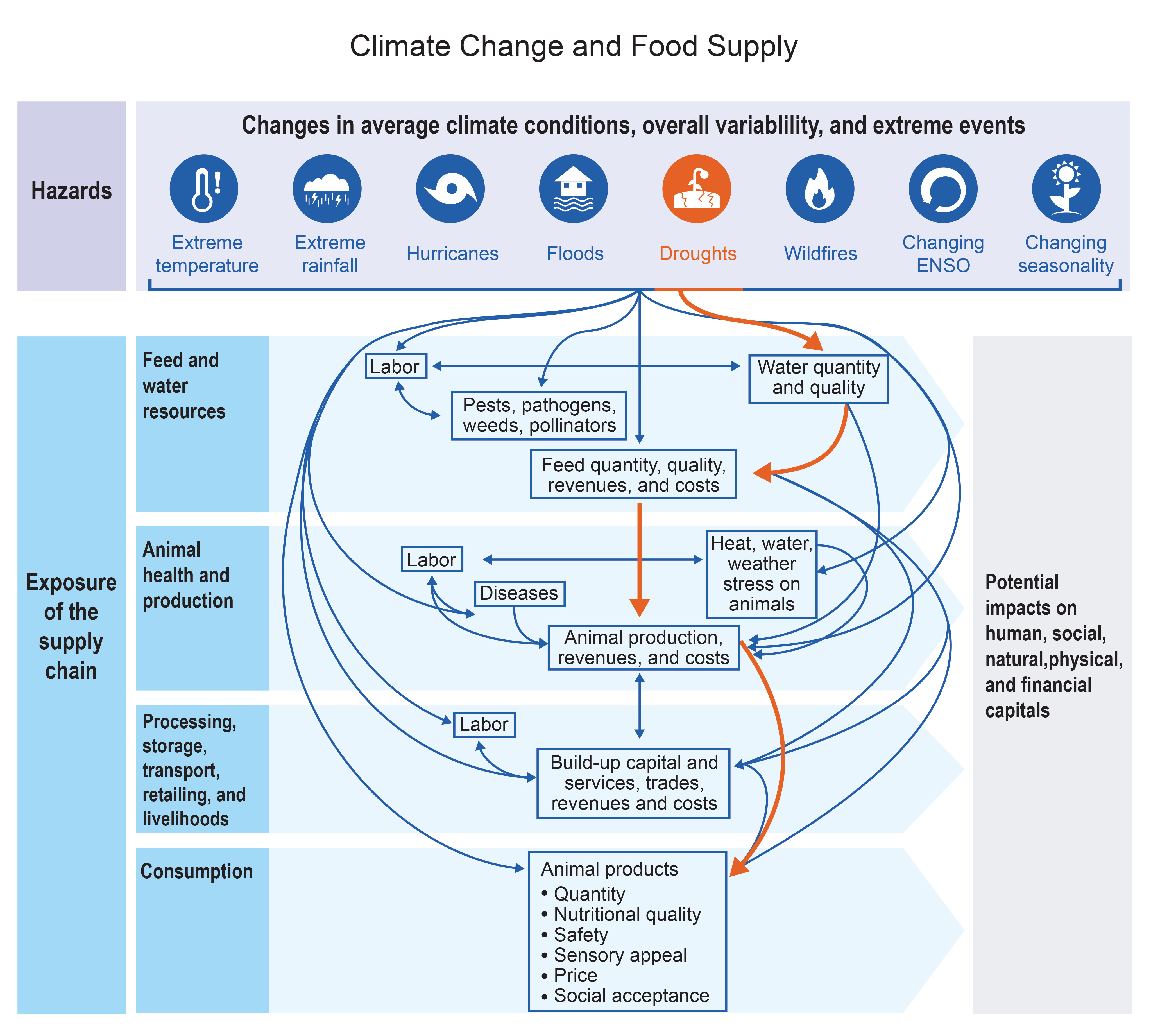 Climate Change and Food Supply